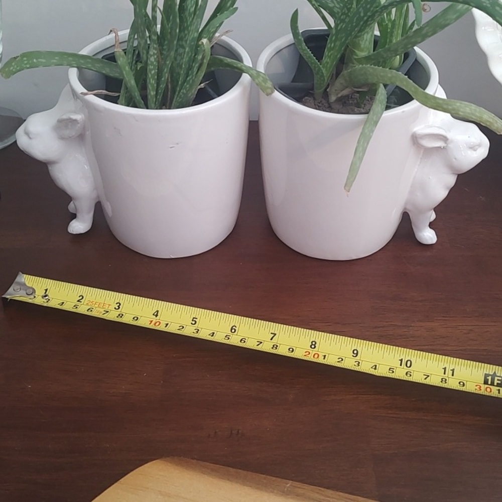 Bunny Rabbit Planters Small Set 2 - Picture 4 of 10
